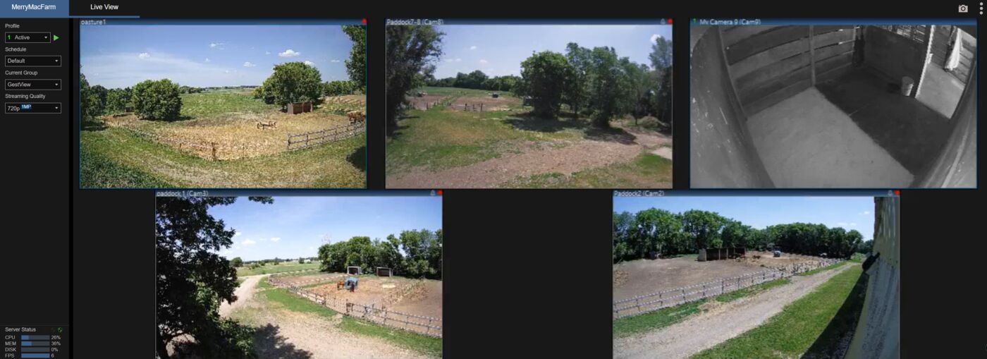 Camera views of the paddocks and barn