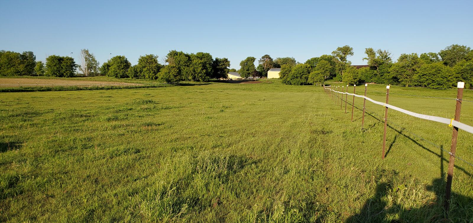 Open pasture with fresh fencing